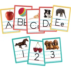 Alphabet and Number Accents