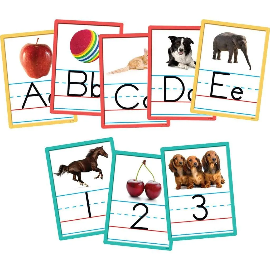 Alphabet and Number Accents