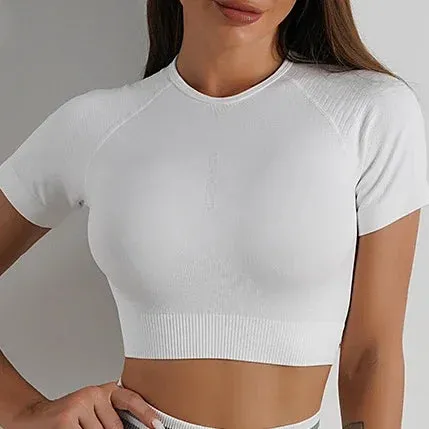 LANTECH Gym Shirts Seamless Crop Tops Yoga Fitness Women Tights Sports Short Sleeve Running Workout Ombre Sportswear Activewear
